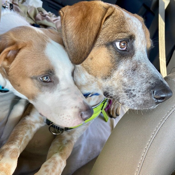 Meet your Posher, KD from NOLA. - Picture 12 of 16